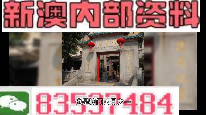 防范:新澳门内部精准公开,的全面释义、解释与落实